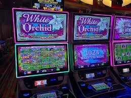57 togel featured game showcase